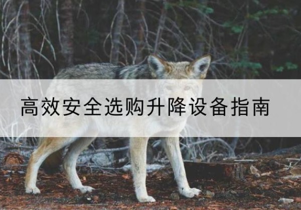讷河升降货梯厂家推荐-*安全选购升降设备指南