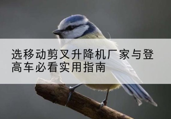 讷河电动升降机厂家-选移动剪叉升降机厂家与登高车必看实用指南